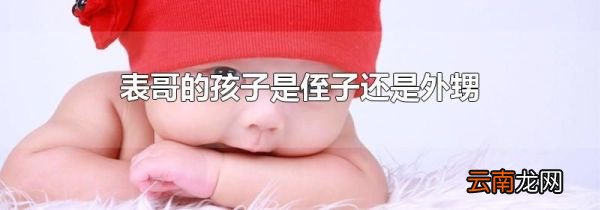 表哥的孩子是侄子还是外甥