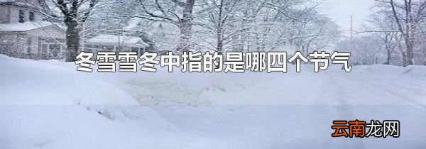 冬雪雪冬中指的是哪四个节气