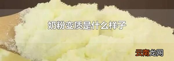 奶粉变质是什么样子