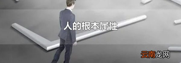 人的根本属性