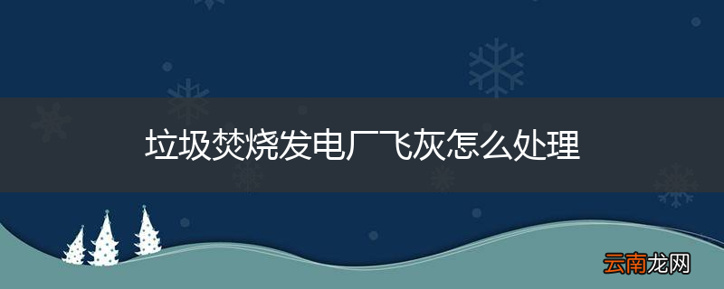 垃圾焚烧发电厂飞灰怎么处理