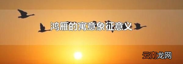 鸿雁的寓意象征意义