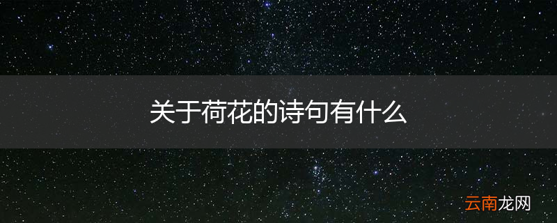 关于荷花的诗句有什么