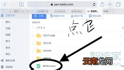 iphone11pro怎么打开百度云网盘bt种子