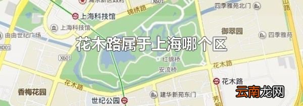 花木路属于上海哪个区
