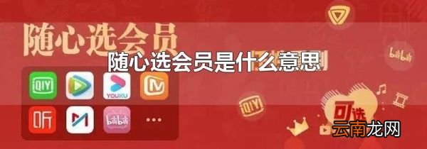 随心选会员是什么意思