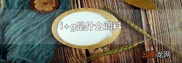 i+g是什么调料