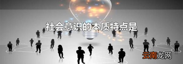 社会意识的本质特点是