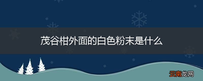 茂谷柑外面的白色粉末是什么