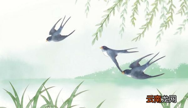 长歌行出自哪本书 长歌行出自于哪