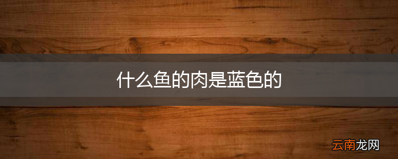 什么鱼的肉是蓝色的