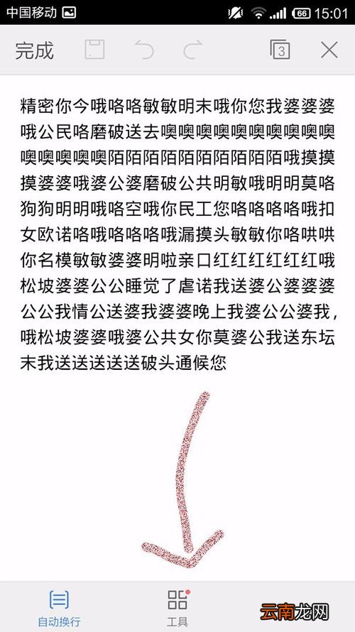 WPS Office APP查看文档信息的具体方法