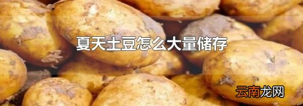 夏天土豆怎么大量储存