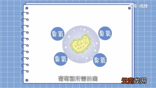 臭氧消毒原理 臭氧消毒的原理及特点