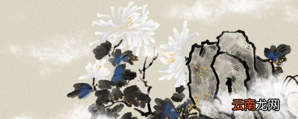 寒菊古诗拼音版 寒菊古诗带拼音