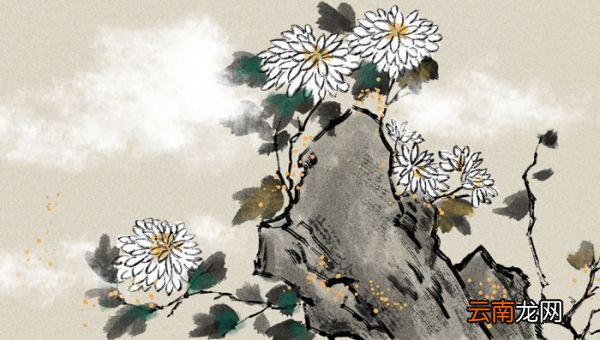 寒菊古诗拼音版 寒菊古诗带拼音