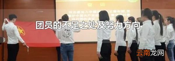 团员的不足之处及努力方向