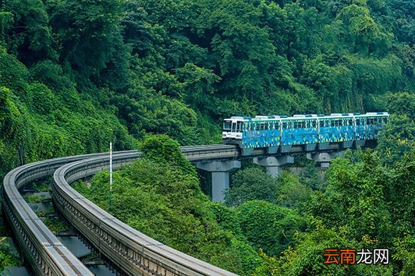 轻轨和地铁的区别 轻轨和地铁有什么区别