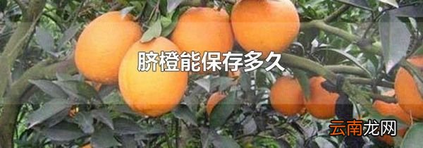 脐橙能保存多久