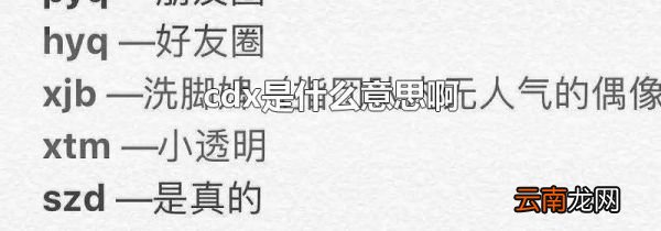 cdx是什么意思啊