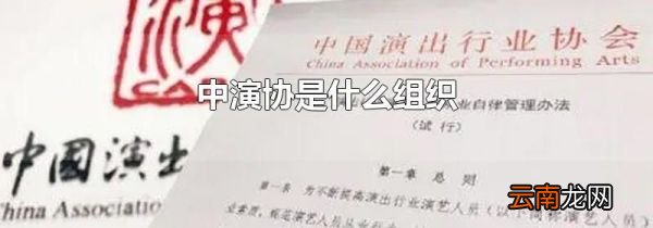 中演协是什么组织
