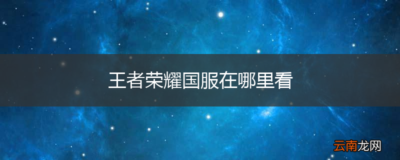 王者荣耀国服在哪里看