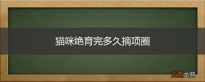 猫咪绝育完多久摘项圈