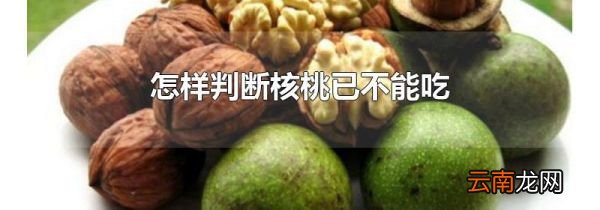 怎样判断核桃已不能吃