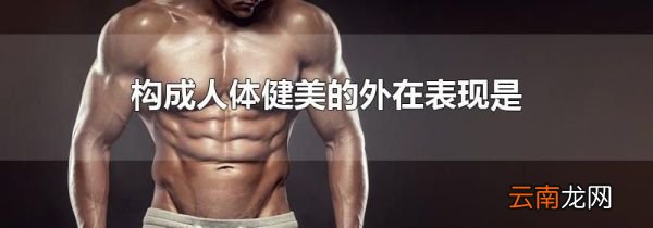 构成人体健美的外在表现是