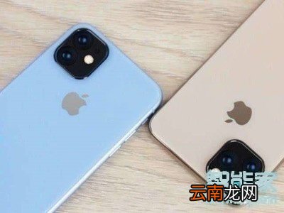 iphone11pro怎么动态拍照