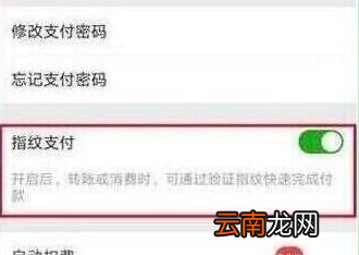 荣耀v20设置微信指纹支付具体操作步骤