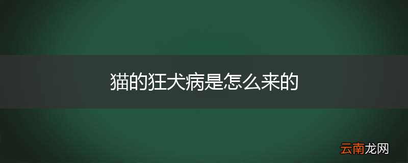 猫的狂犬病是怎么来的