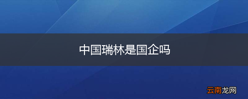 中国瑞林是国企吗