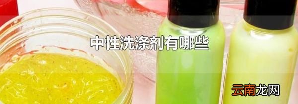 中性洗涤剂有哪些