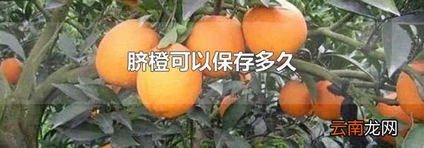 脐橙可以保存多久
