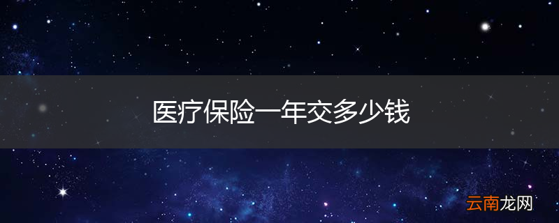 医疗保险一年交多少钱
