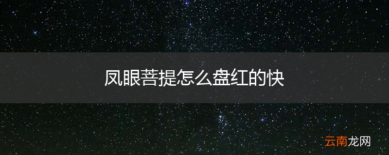 凤眼菩提怎么盘红的快