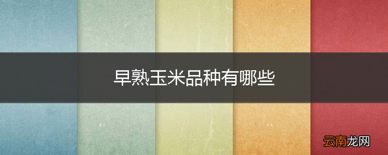 早熟玉米品种有哪些