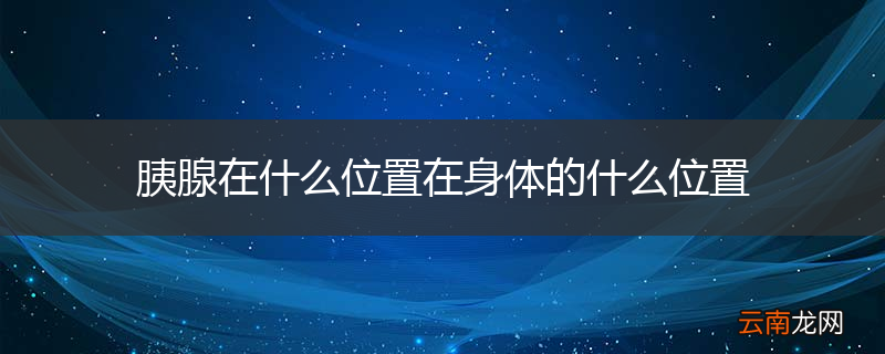 胰腺在什么位置在身体的什么位置