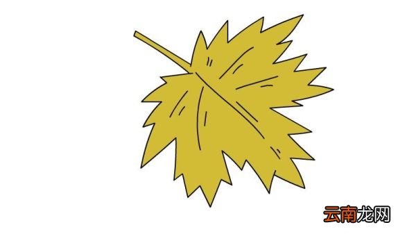 树叶简笔画怎么画简单