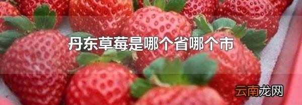 丹东草莓是哪个省哪个市
