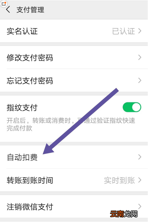 微信中将自动扣费取消具体操作步骤
