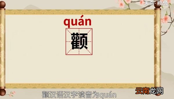 颧怎么读 颧的读法