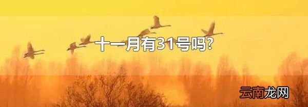 十一月有31号吗?