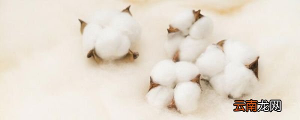 水是热的良导体还是不良导体 水是热的良导体嘛