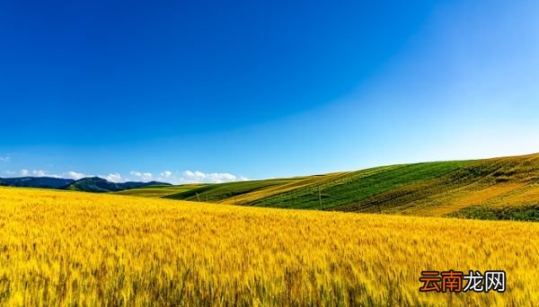 新疆有几个地级市和自治州 新疆有多少个地级市和自治州