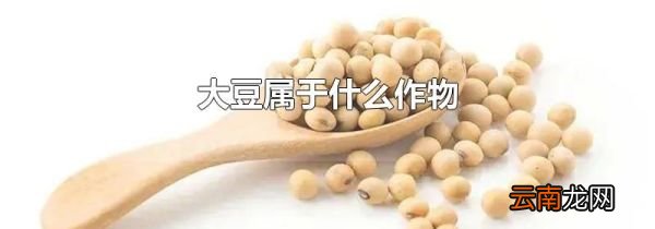 大豆属于什么作物