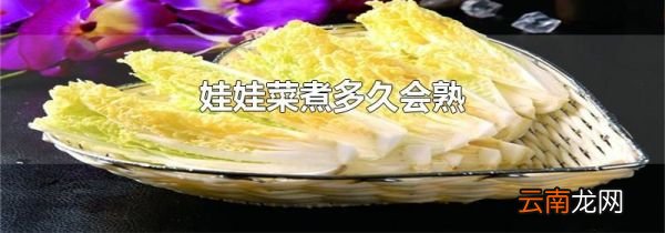 娃娃菜煮多久会熟