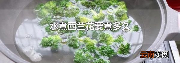 水煮西兰花要煮多久