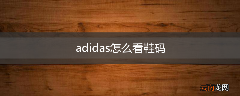 adidas怎么看鞋码